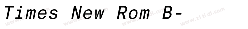 Times New Rom B字体转换